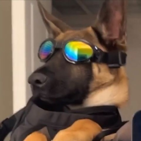 edwardameadows